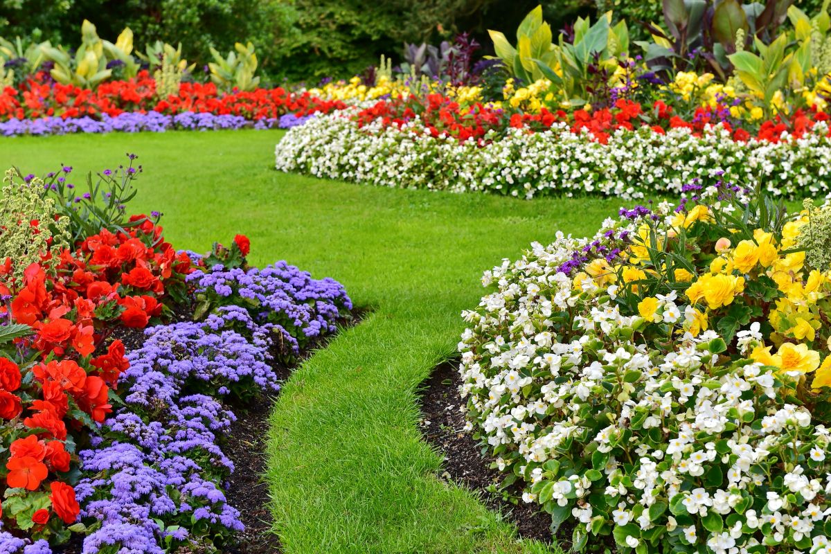 Landscape Design St. Louis | Second Nature