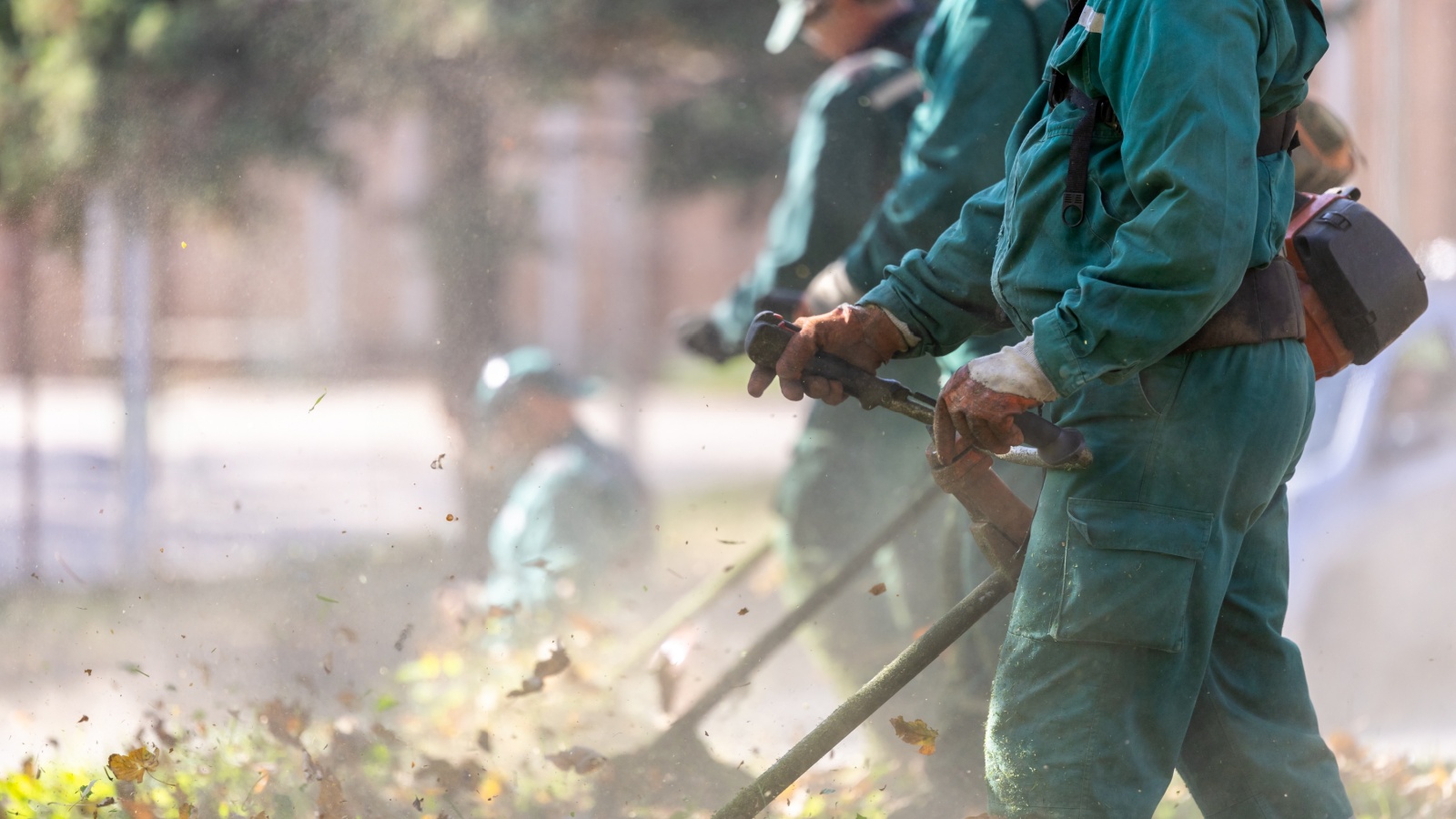 About Second Nature | St. Louis Landscaping & Excavation Company