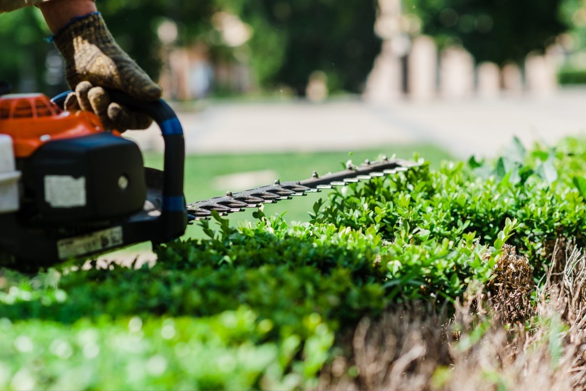 Grounds Maintenance Services in St. Louis | Landscape Care